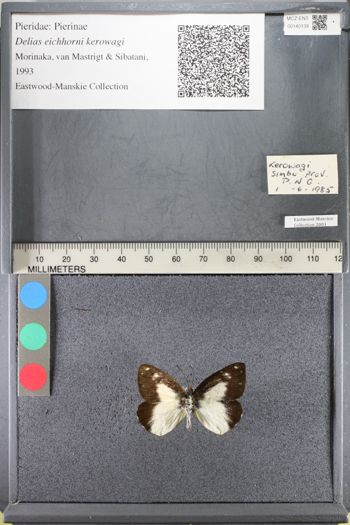 Media type: image;   Entomology 140139